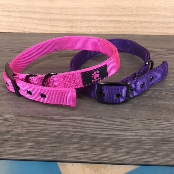 Top paw nylon dog collar Clearance
